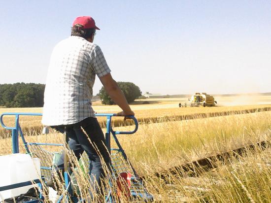 La moisson